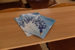 IMG-3aedf51ae71999045f01c0247e4d2d33-V